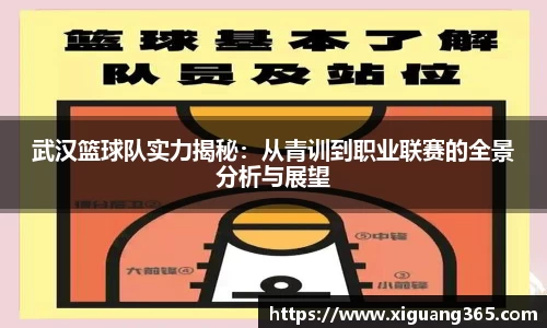 武汉篮球队实力揭秘：从青训到职业联赛的全景分析与展望